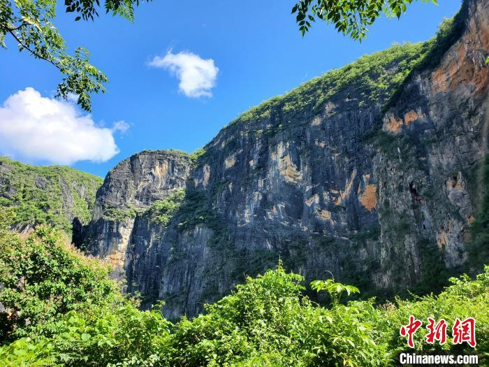 与常见的灰白黑喀斯特地貌不同的是，此地岩壁间以咖啡色、铁锈色等暖色，加之褶皱构造明显，远观如同印象派油画长卷。　王晓斌 摄