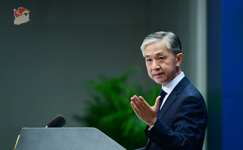 汪文斌 资料图