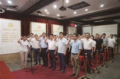  党日活动重温入党誓词