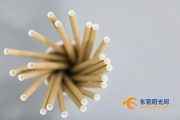 ▲外观质朴的牛皮纸吸管