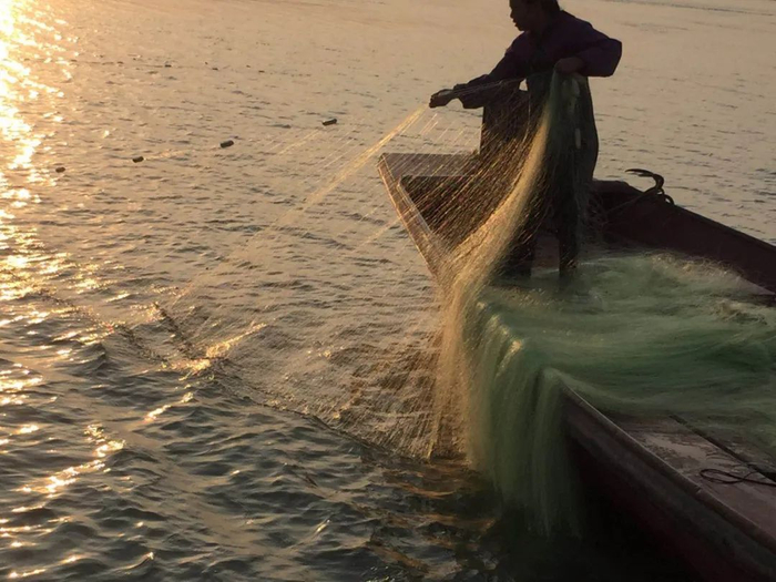 ▲过去鄱阳湖渔民用丝网捕鱼的场景。受访者供图