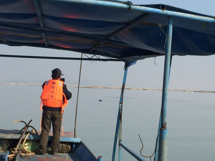 ▲2019年4月，在湖面发现江豚踪影，巡护队员举起手机拍摄记录。图源/受访者