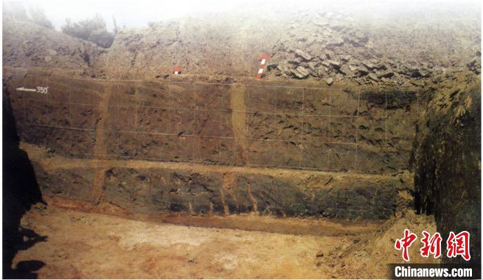 临沭县干沟渊村郯城地震形成喷砂裂缝遗迹。(中国地震局公共服务司/山东省地震局 供图) 　摄