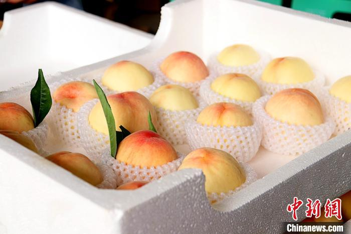 准备运往上海的郝湖村水蜜桃，令人垂涎。时集镇政府供图
