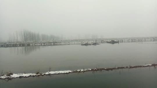 周作财承包的鱼塘，摄于2019年冬季。