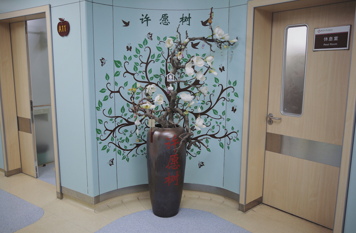 安宁疗护中心里的许愿树。新京报记者 郑新洽 摄