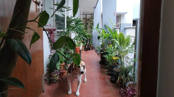 数奥选手查询网站_全国数学奥数比赛 数奥选手查询网站_全国数学奥数比赛