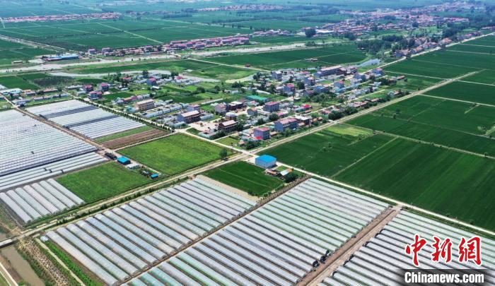     航拍蔷薇村成片的蔬菜大棚与美丽的村居环境。　丁华明　摄
