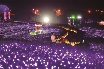  大塘金灯光花海