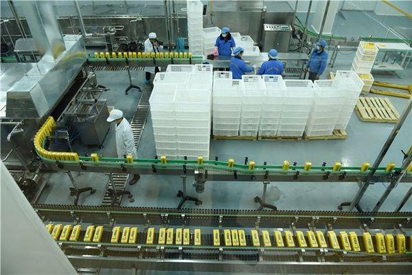 刺梨的野生资源分布，贵州刺梨产量何以称霸全国？|贵州|贵州省_新浪新闻