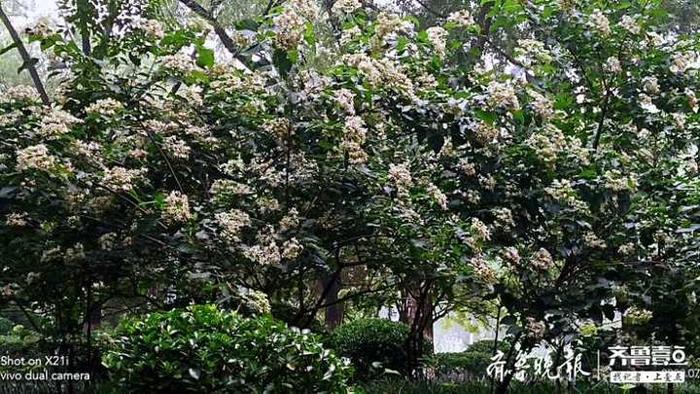 风雅后庭花，她的全名叫“海州常山”