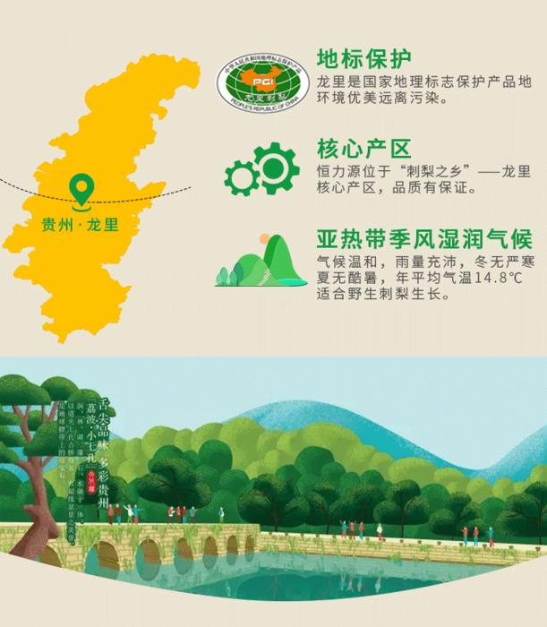 刺梨的野生资源分布，贵州刺梨产量何以称霸全国？