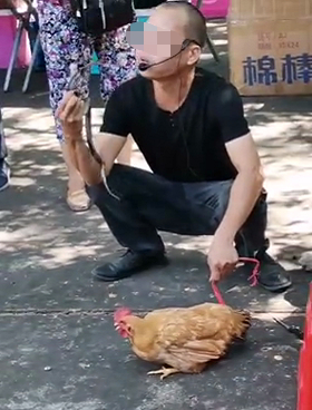 视频截图