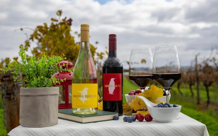 被包装成“小甜水”的葡萄酒包装大多走小清新路线。 |图片来源：企鹅吃喝指南