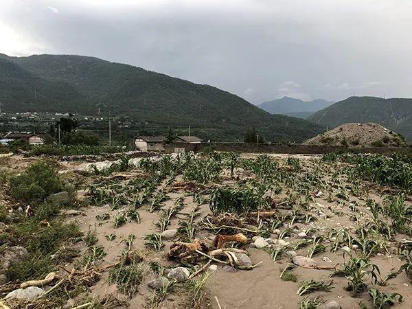 特大暴雨夜袭村庄，一家五口遇难