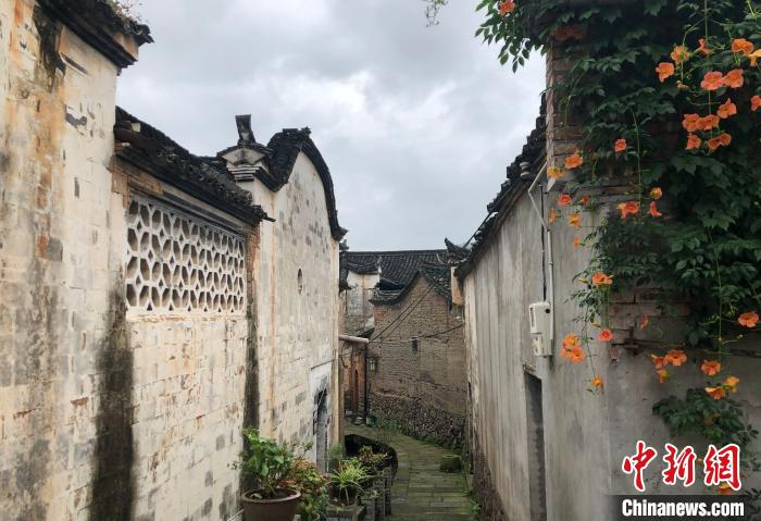 图为：松阳县中国传统村落改造后。　商泽阳 摄