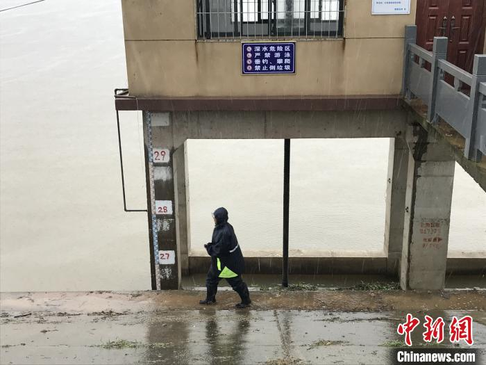 冒雨巡堤 张芹 摄