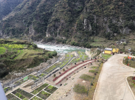 “微菜园”一侧全景。向文 摄