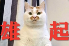 出身艺术世家的京圈格格竟是私生女？和京圈势力也扯不上多大关系？