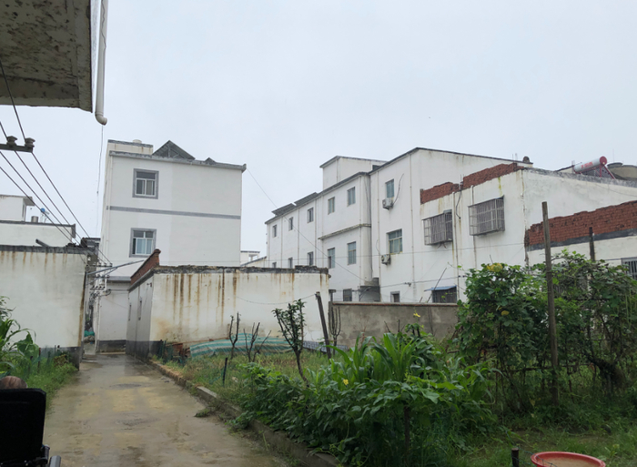 ▲王家坝镇一个庄台上的住房情况。新京报记者解蕾摄