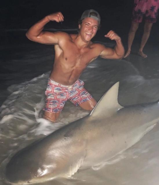 美21岁大学生徒手活抓181公斤大白鲨，抱鲨合照，称共抓过300条