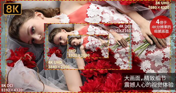 无忌测评 | 佳能新一代全画幅专微旗舰EOS R5评测