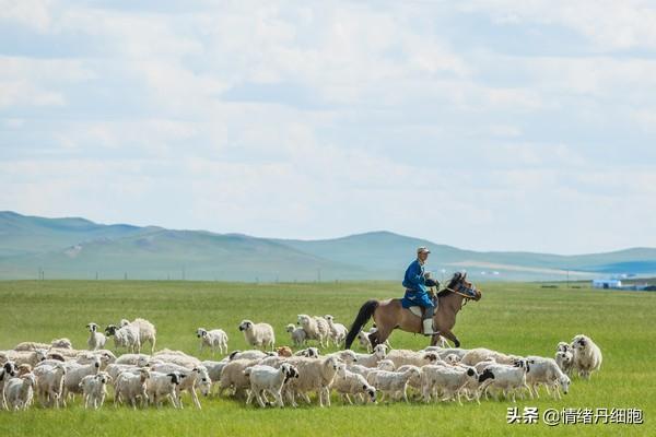 现在正是内蒙古大草原最美的季节，两百多吃喝玩乐全有了