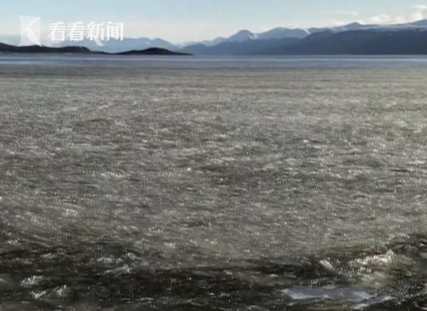 视频｜地球最南端城市迎来冷空气 整片海岸被冰冻