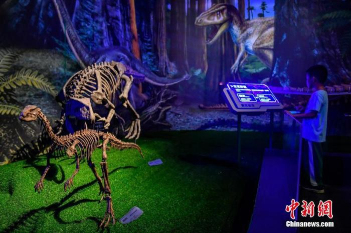 资料图：2019年7月11日，广东省博物馆，恐龙骨架吸引小朋友眼球。中新社记者 陈骥旻 摄