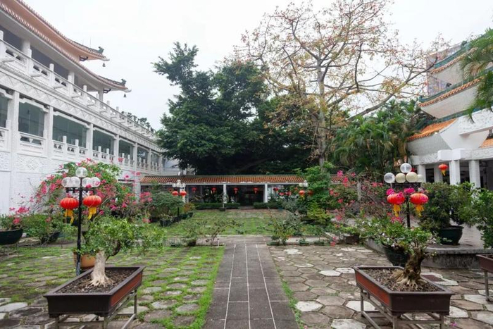 陪伴36年，九洲城今天“关门”！ 市博新馆即将登场...