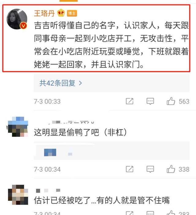 王珞丹深夜发布寻鸭启事悲剧结尾：吉吉已经不在这个世界