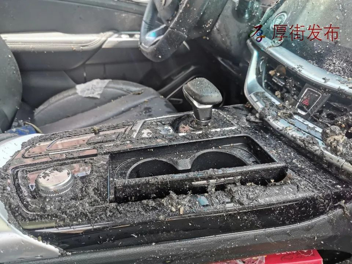 小车几乎全部被泡