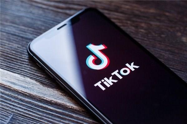 遭印度封禁的TikTok：上半年全球下载量近6亿次，印度占比最高