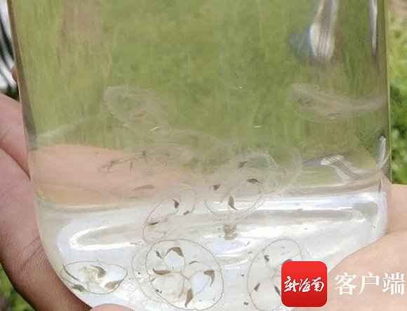 图片来源：李方远/摄