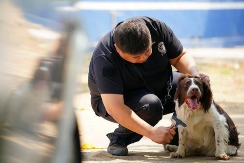 警犬边境立新功 成功查缉大批电信网络诈骗作案工具