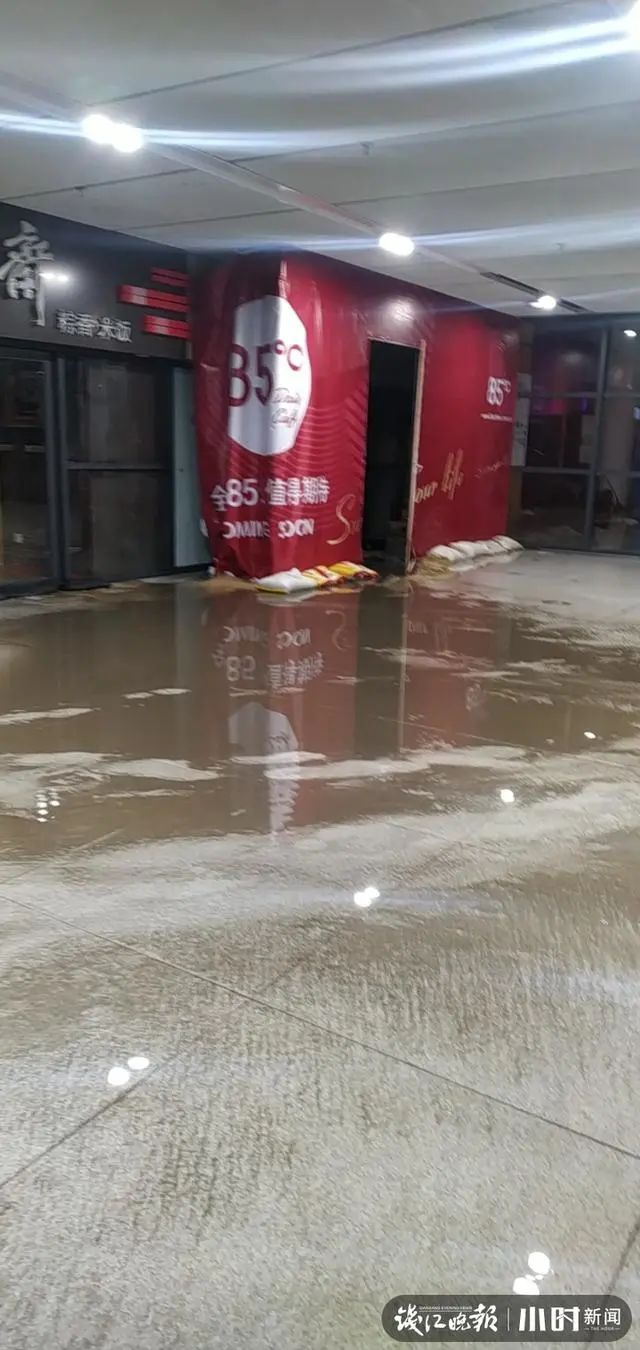 小妞拍摄于前晚