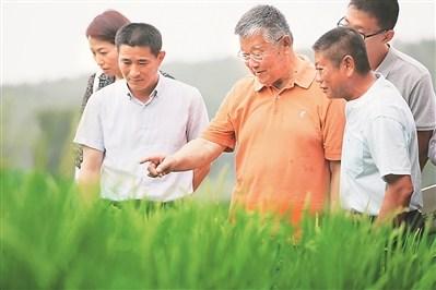 农业专家赵亚夫在镇江句容田头送技术