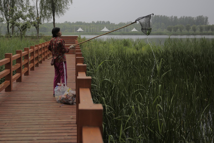 贺玉凤在妫水河畔捡垃圾。新京报记者 郑新洽 摄