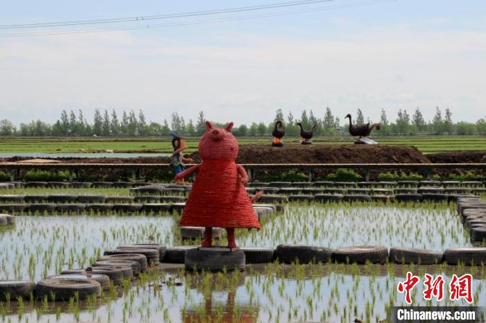 稻草扎制的小猪佩奇卡通形象 朱真博 摄