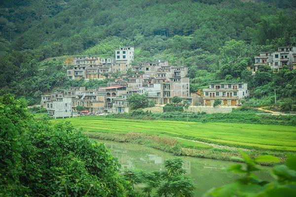 海南“头盔挡刀”救人消防员荣立二等功，晋升一级消防士