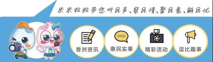 主城区道路停车难？香洲区五级人大代表助力解决突出民生问题