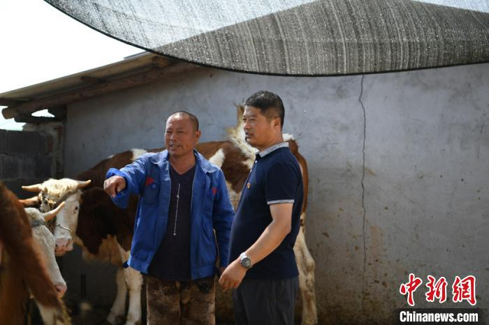 马长胜(右一)与杨玉成话家常 张瑶 摄