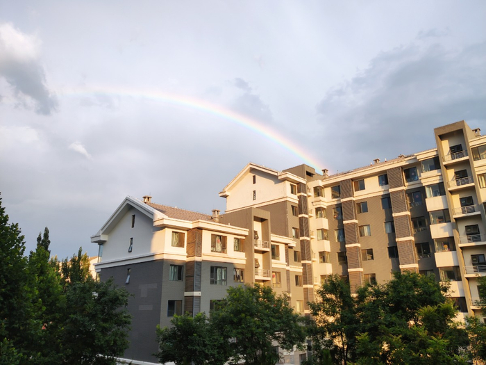摄于海淀区农大南路