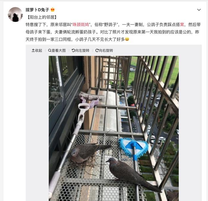 那些把窝造成豆腐渣的鸟，不怕自己断子绝孙吗