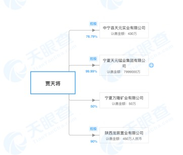 　2019年华融投资股权结构和贾天将对名下公司持股情况