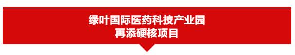 烟台“三重”年中考｜60小时13地，一起看这些“考点”晒成绩