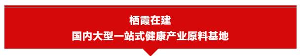 烟台“三重”年中考｜60小时13地，一起看这些“考点”晒成绩