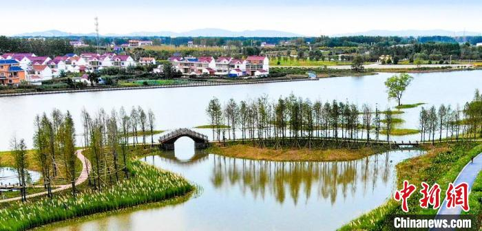 远眺潮河村水美乡村。　杨集镇 供图