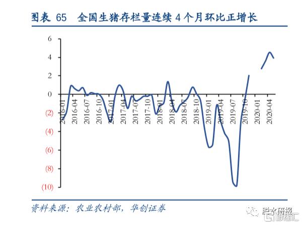 先导指标创7年新低，玉米价格暴走了