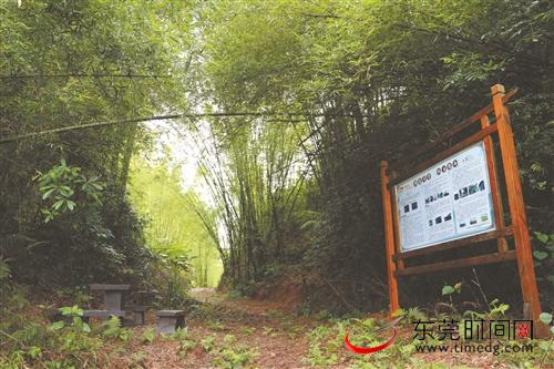 ■乡村旅游示范点——仁爱老街古驿道
